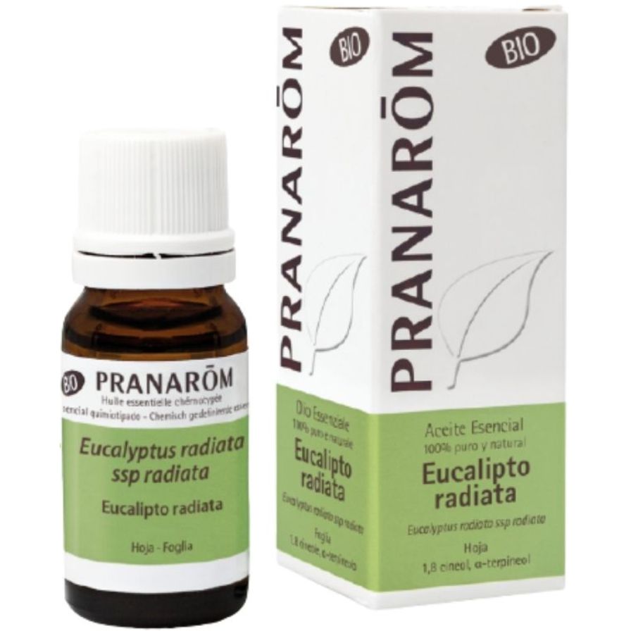 Eucalipto Radiata Bio 10 Ml | Pranarom - Dietetica Ferrer