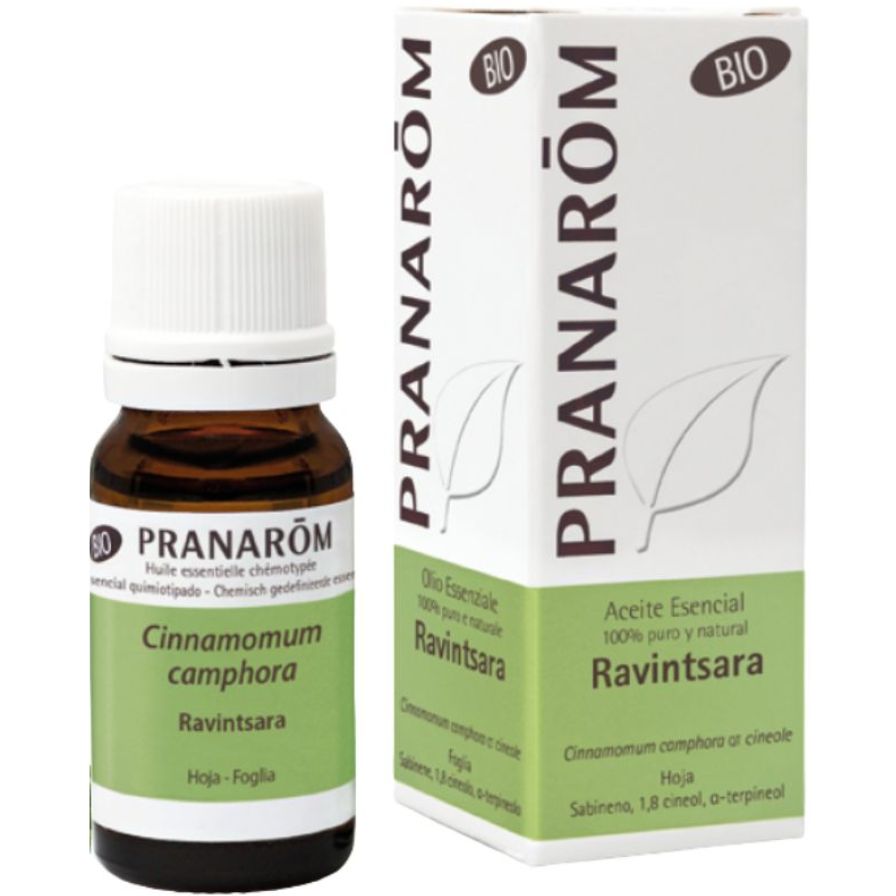 Ravintsara Bio 10 Ml | Pranarom