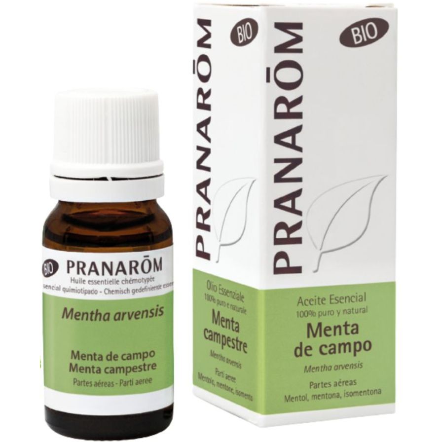 Menta De Campo Bio 10 Ml | Pranarom
