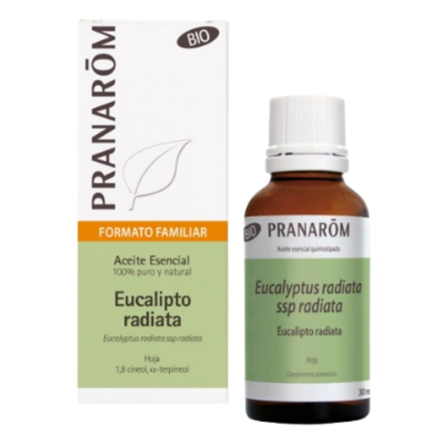 Eucalipto Radiata Bio 30 Ml | Pranarom