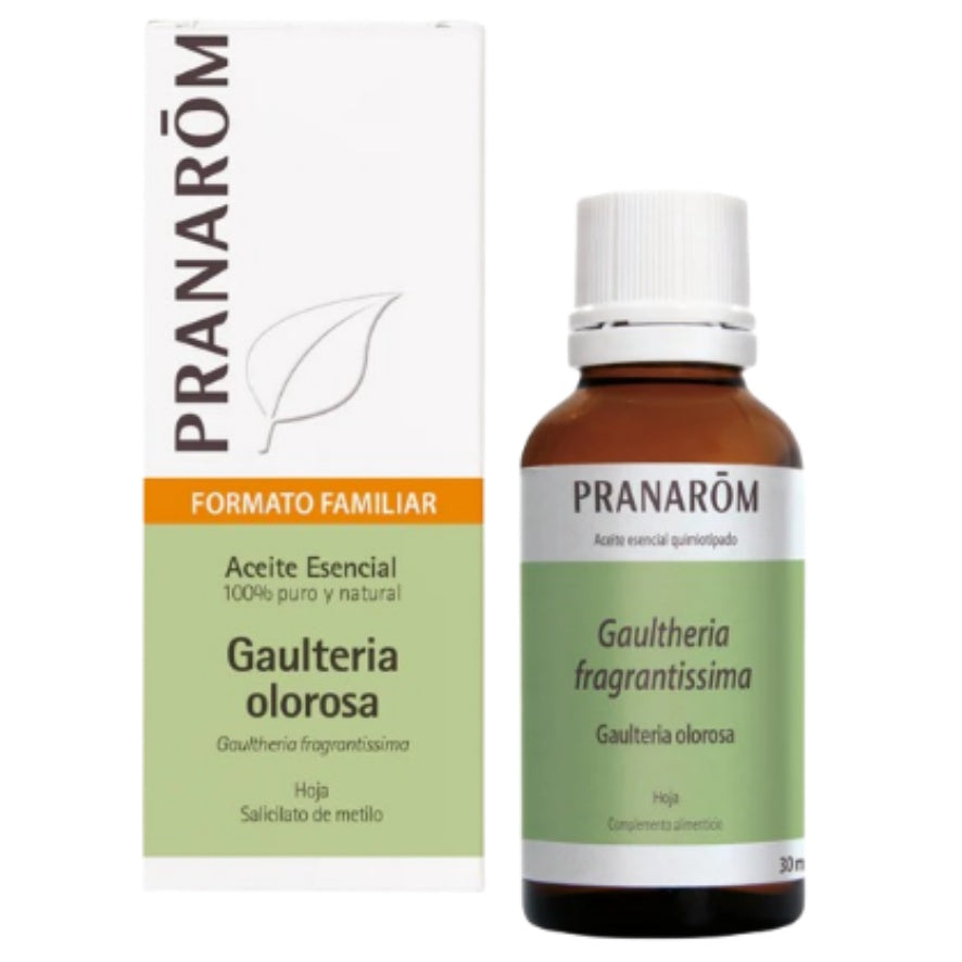 Gaulteria Olorosa Bio 10 Ml | Pranarom