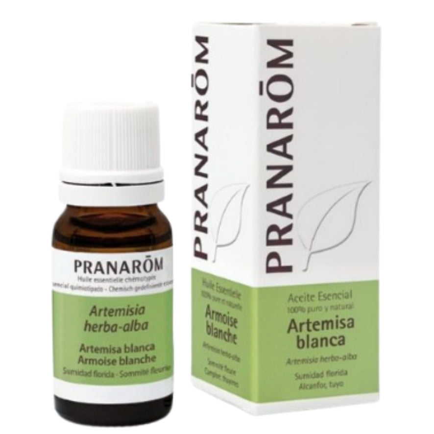 Artemisa Blanca 10 Ml | Pranarom