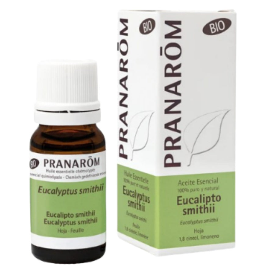 Eucalipto Smithii Bio 10 Ml | Pranarom