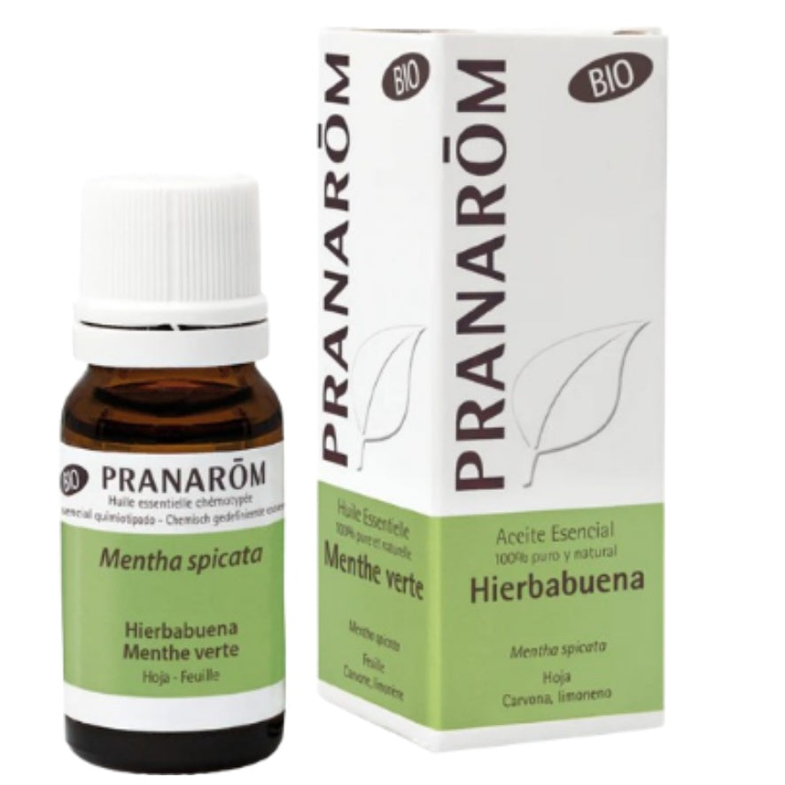 Hierbabuena Bio 10 Ml | Pranarom