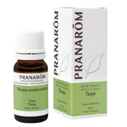 Tuya Rama 10 Ml | Pranarom