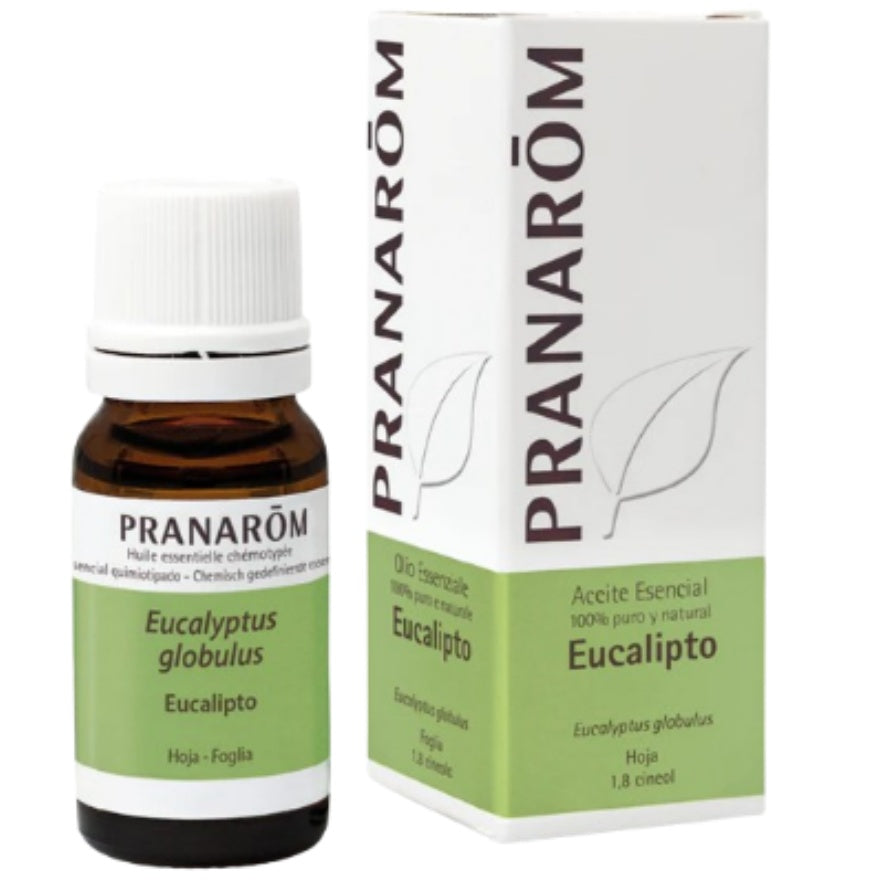 Eucalipto 10 Ml | Pranarom