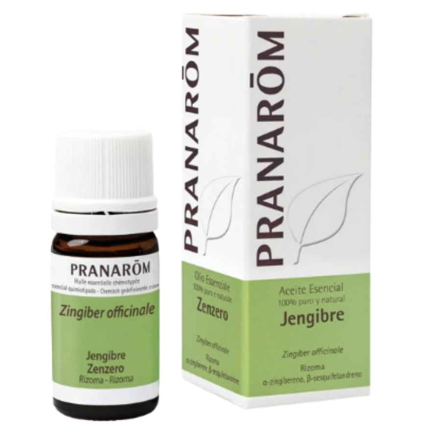 Jengibre 5 Ml | Pranarom