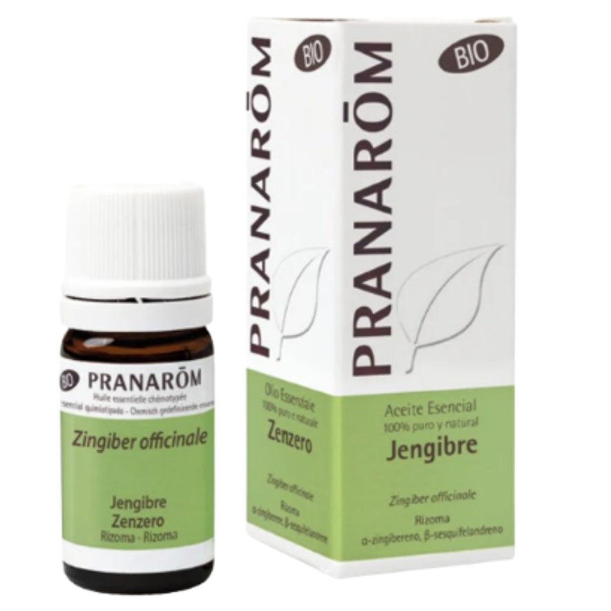 Jengibre Bio 5 Ml | Pranarom