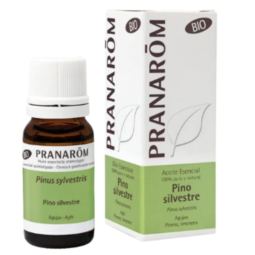 Pino Silvestre Bio 10 Ml | Pranarom