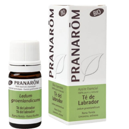 Té De Labrador Bio 5 Ml | Pranarom
