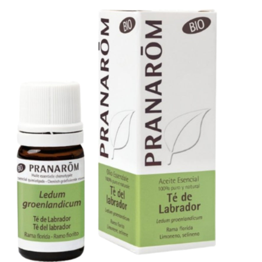 Té De Labrador Bio 5 Ml | Pranarom