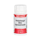 Holomega Zinc Liposomado | Equisalud