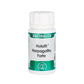 Holofit Harpagofito Forte | Equisalud