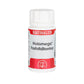 Holomega Fosfatidilserina | Equisalud