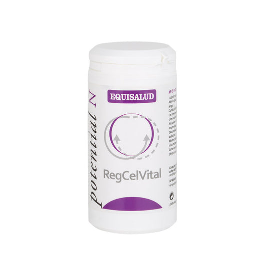 Regcelvital 60 Cápsulas | Equisalud