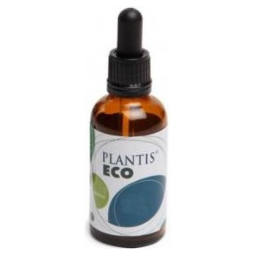 Extracto de Diente de Leon Eco 50 ml | Plantis