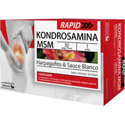 Kondrosamina Msm Moderado 30 Ampollas | Dietmed - Dietetica Ferrer
