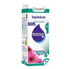 Glicerinado Equinacea Bio 50 ml | Drasanvi - Dietetica Ferrer