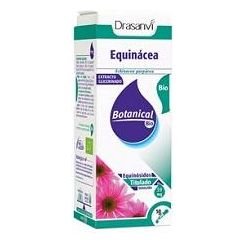 Glicerinado Equinacea Bio 50 ml | Drasanvi - Dietetica Ferrer