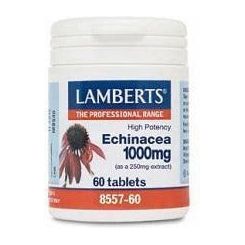 Equinacea 1000mg 60 Capsulas | Lamberts - Dietetica Ferrer