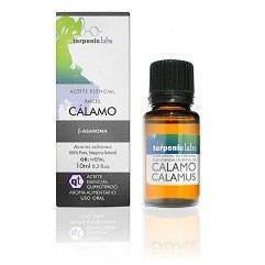 Aceite Esencial de Calamo | Terpenic Labs - Dietetica Ferrer