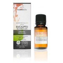 Aceite Esencial de Eucalipto Globulus Bio | Terpenic Labs - Dietetica Ferrer
