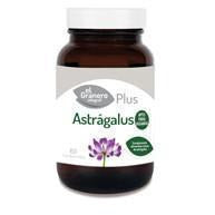 Astragalus 60 Comprimidos | El Granero Integral - Dietetica Ferrer