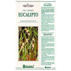 Champu De Eucalipto 250 ml | Bellsola - Dietetica Ferrer