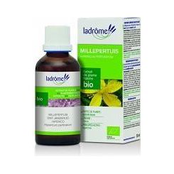Extracto de Salvia Bio 50 ml | LaDrome - Dietetica Ferrer