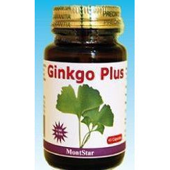 Ginkgo Plus 45 Capsulas | Montstar - Dietetica Ferrer