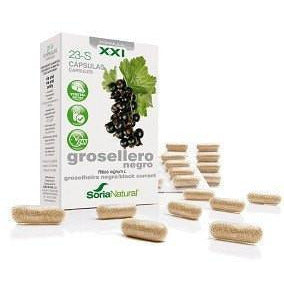 Grosellero Negro Xxi 30 Capsulas | Soria Natural - Dietetica Ferrer