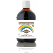 Jarabe Plus Hava 510 gr | Bio St Joseph - Dietetica Ferrer