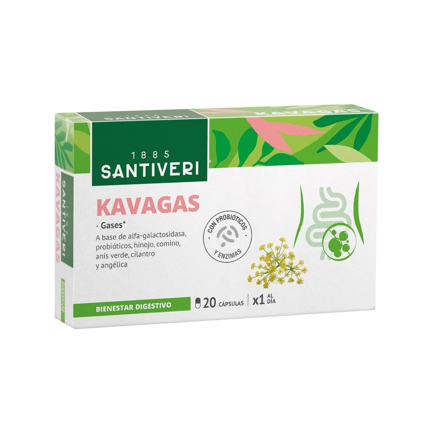 Kavagas 40 Capsulas | Santiveri - Dietetica Ferrer