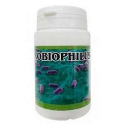 Probiophilus 60 Capsulas | Dimecat - Dietetica Ferrer